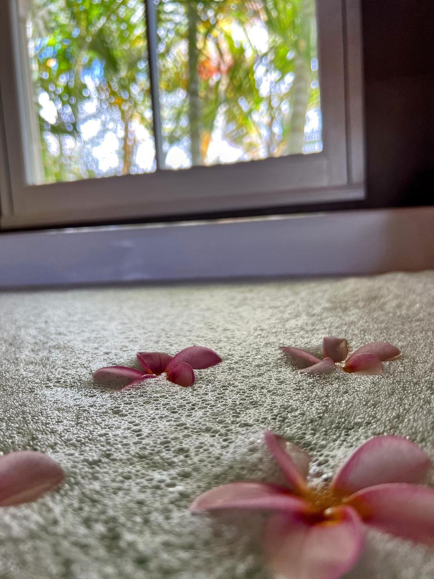 Lakaz Kannell - Cinnamon Room- Luxury Bedroom And Bathroom Infinity Pool Apartment Cap Malheureux